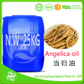 wholesale Fresh cold pressed angelica essential oil